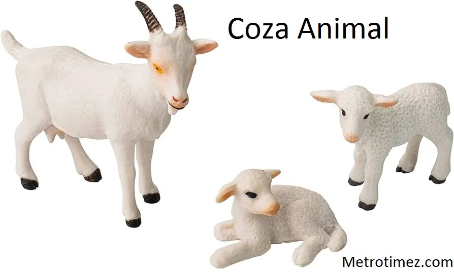 Coza Animal