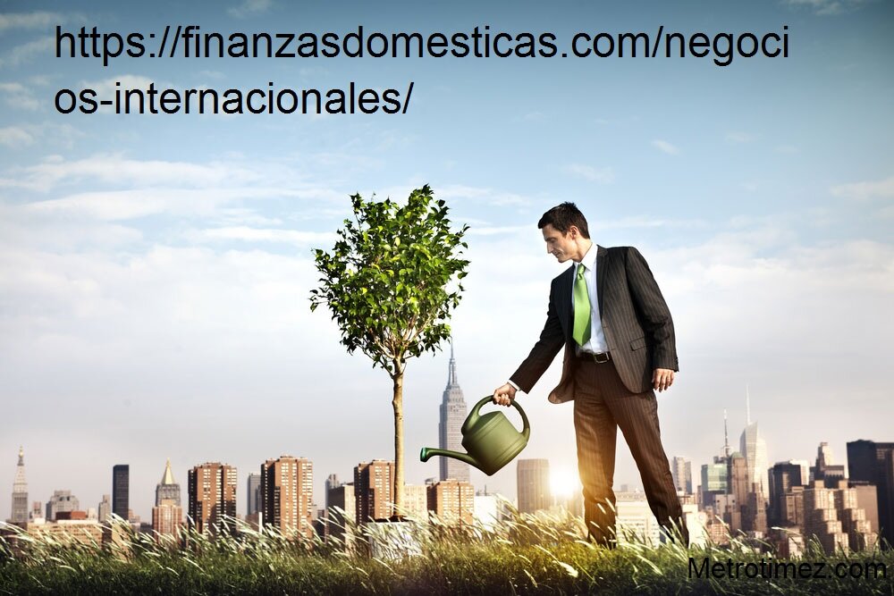 https://finanzasdomesticas.com/negocios-internacionales/