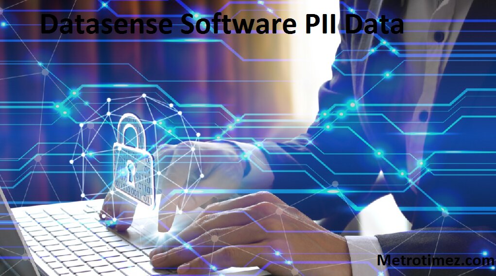 Datasense Software PII Data