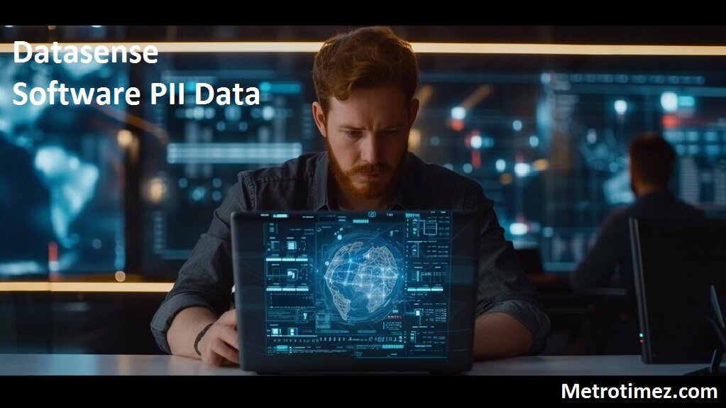 Datasense Software PII Data